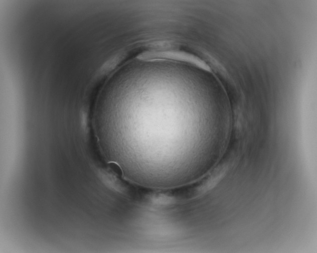 X0000113560258200909251104