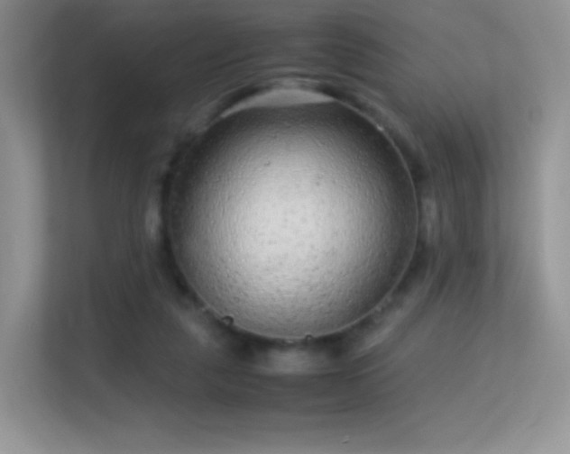 X0000113560259200909251104