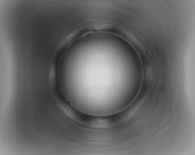 X0000113560260200909251104