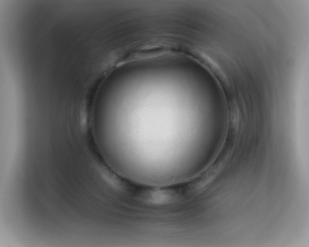 X0000113560261200909251104