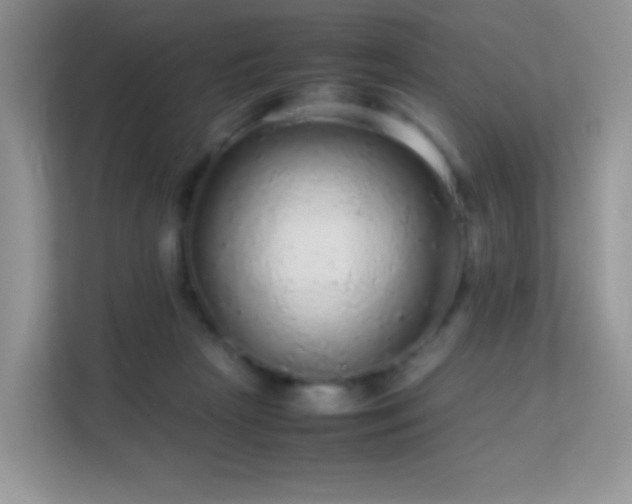 X0000113560265200909251104