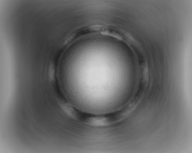 X0000113560266200909251104