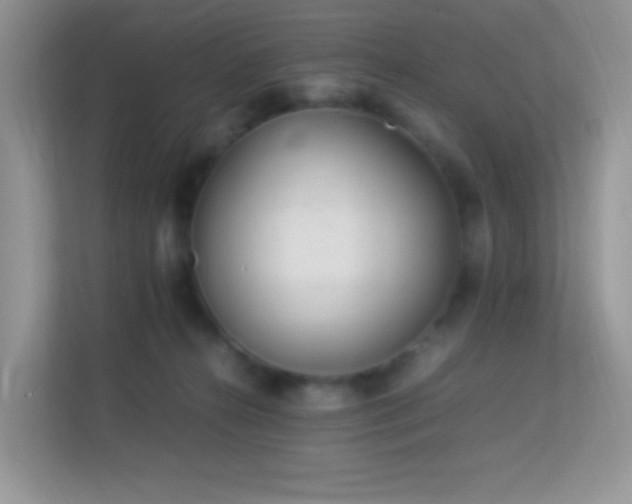 X0000113560272200909251104