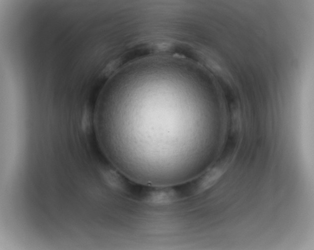 X0000113560274200909251104