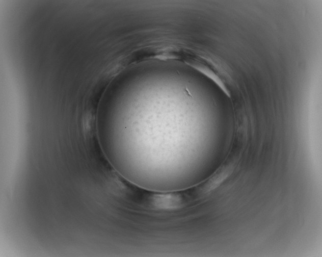 X0000113560281200909251105