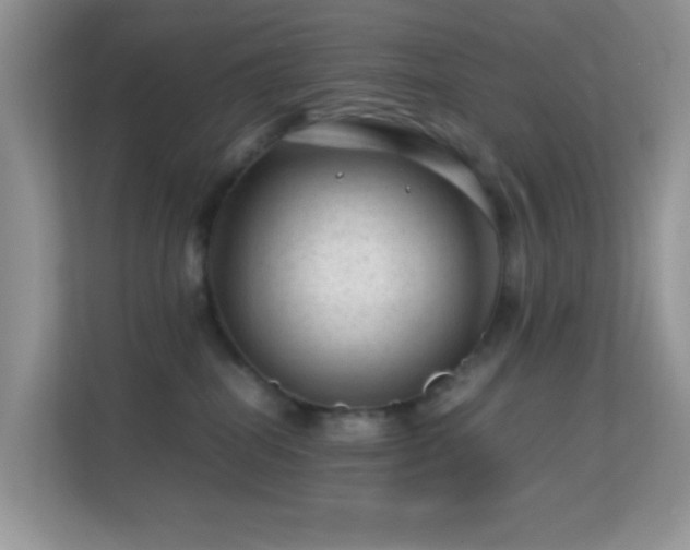 X0000113560282200909251105