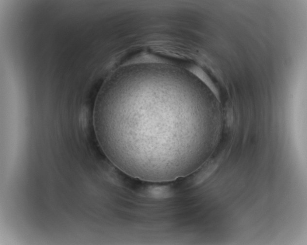 X0000113560283200909251105