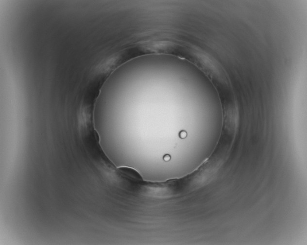 X0000113560284200909251105