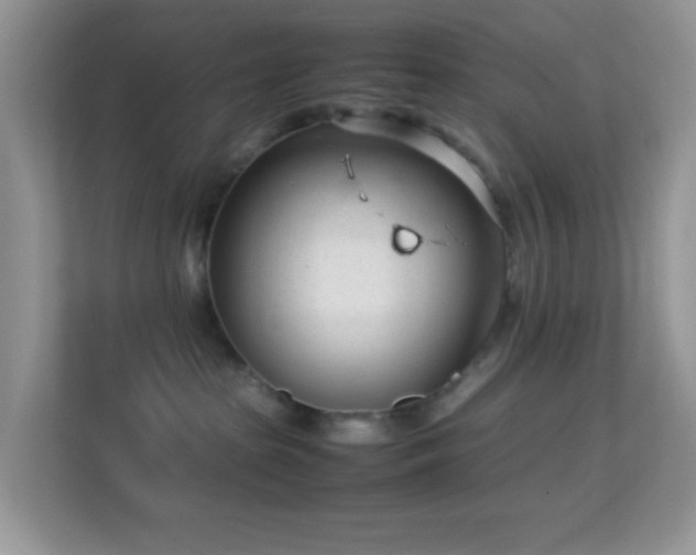 X0000113560285200909251105