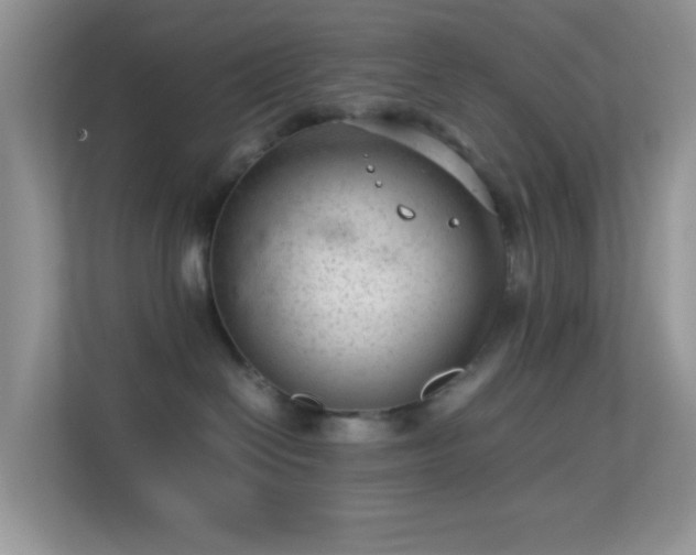 X0000113560286200909251105
