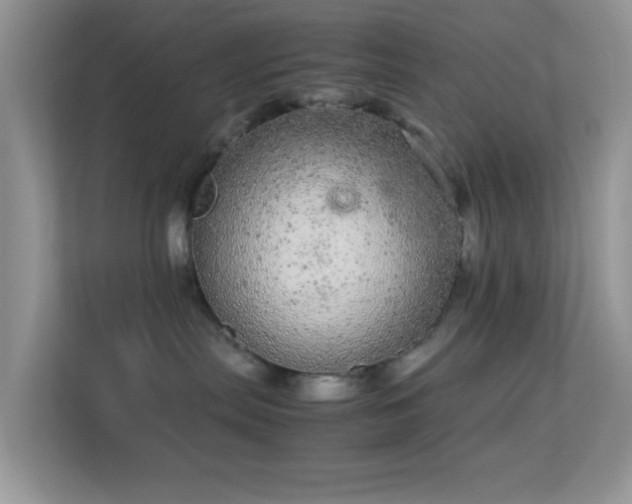 X0000113560287200909251105