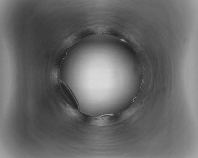 X0000113560288200909251105