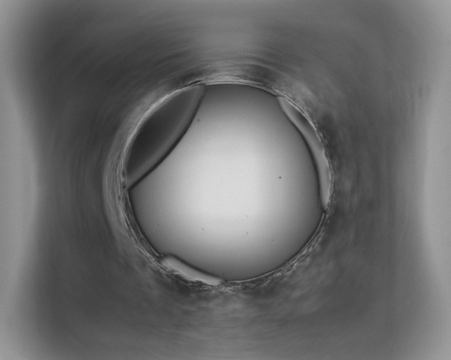 X0000113560289200909251104