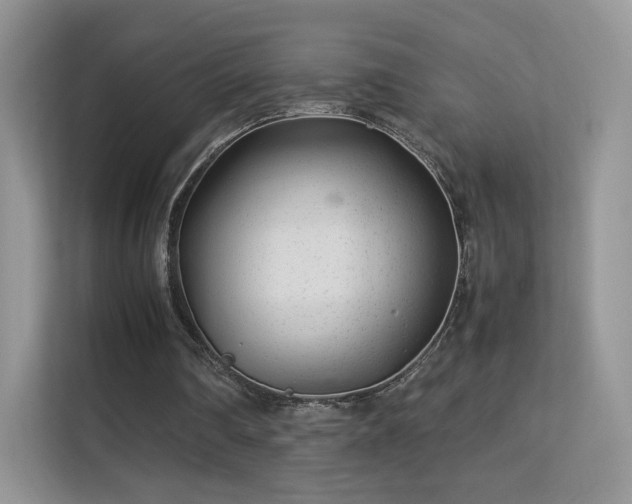X0000113560290200909251104