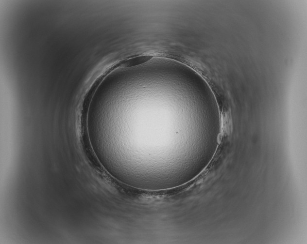 X0000113560291200909251104