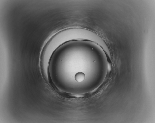 X0000113560292200909251104