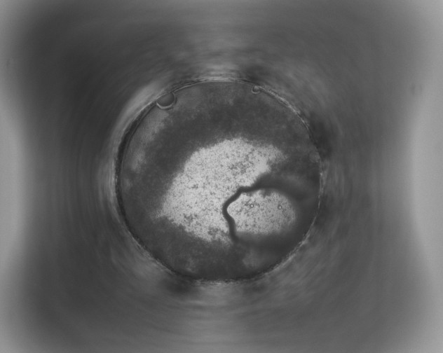 X0000113560293200909251104