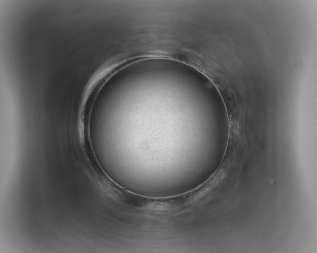 X0000113560294200909251104