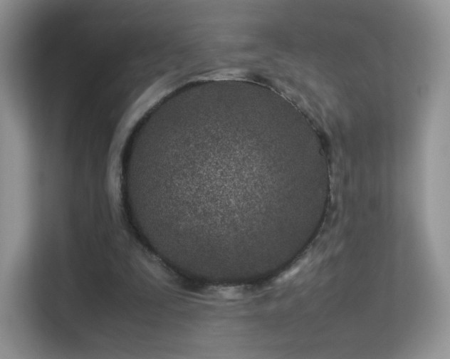 X0000113560295200909251104