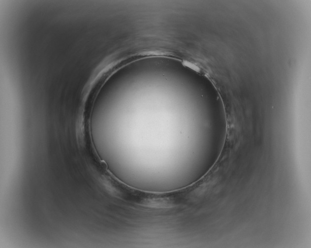 X0000113560296200909251104