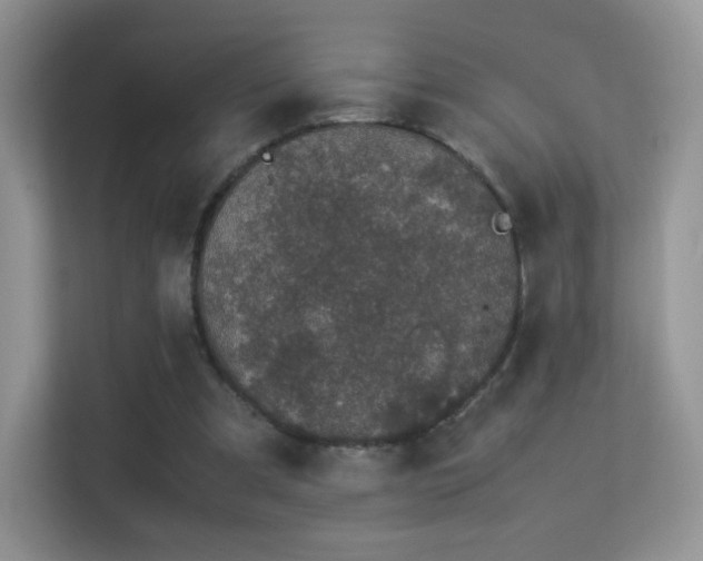 X0000113560297200909251104