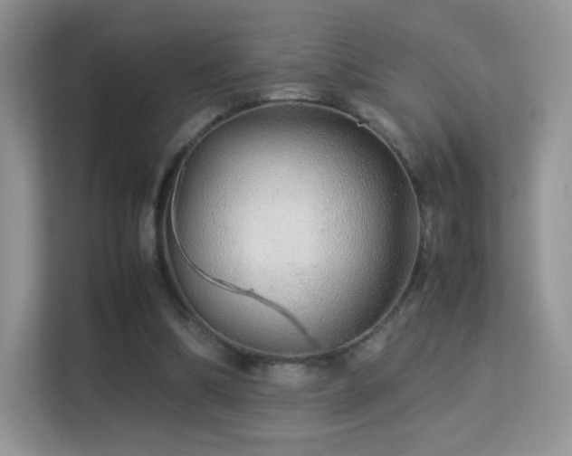 X0000113560298200909251104