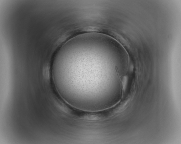 X0000113560299200909251104
