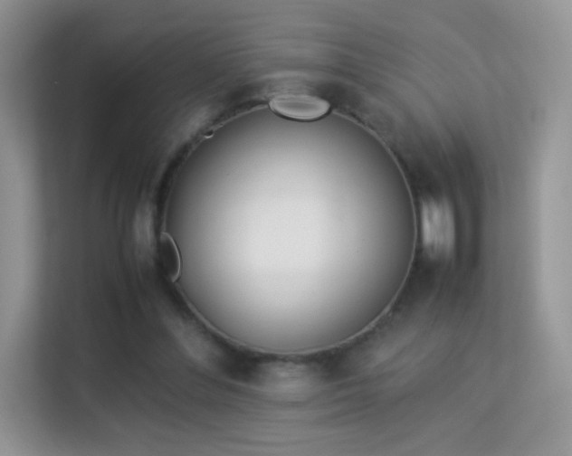 X0000113560300200909251104