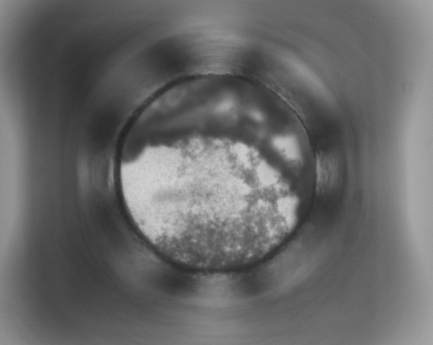 X0000113560301200909251104