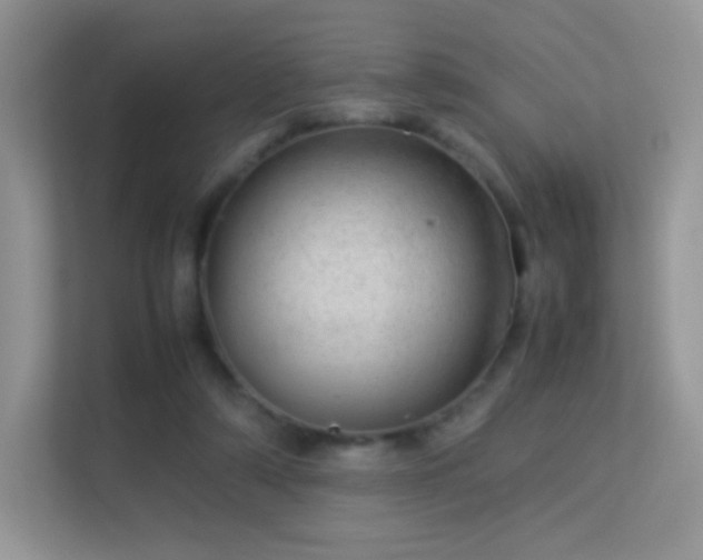 X0000113560306200909251104