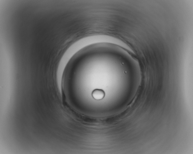 X0000113560308200909251104