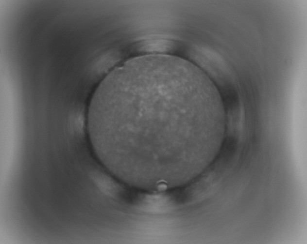 X0000113560309200909251104