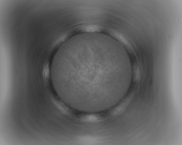 X0000113560310200909251104
