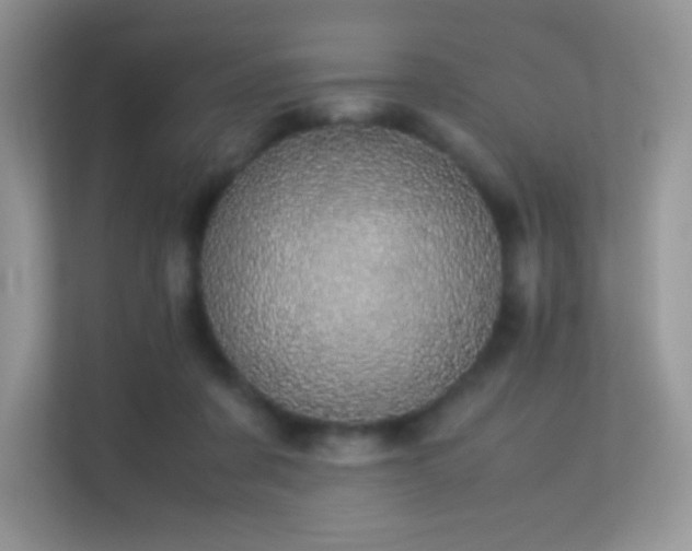 X0000113560311200909251104