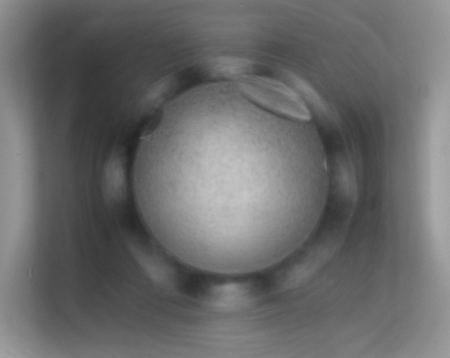 X0000113560312200909251104