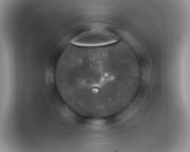 X0000113560313200909251104