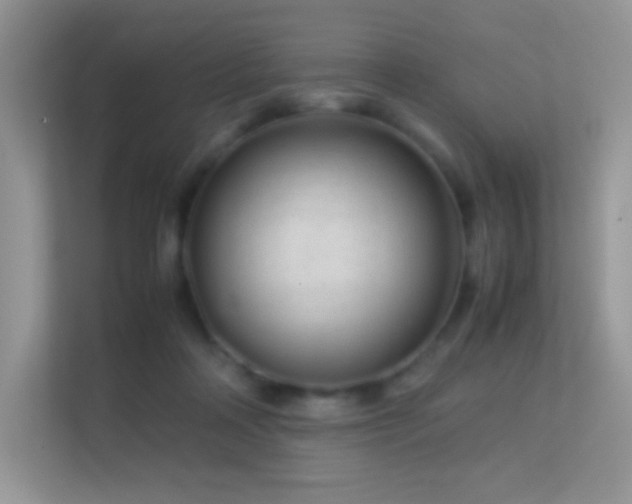 X0000113560314200909251104