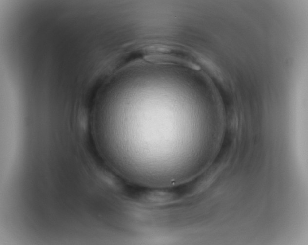 X0000113560315200909251104