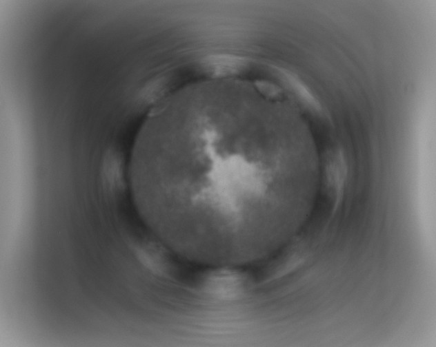 X0000113560316200909251104