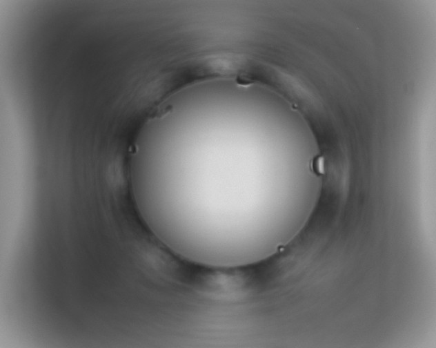 X0000113560317200909251104