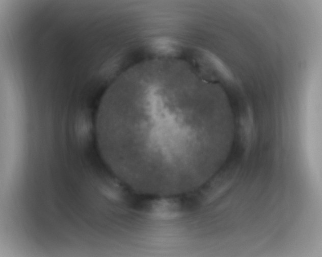 X0000113560320200909251104