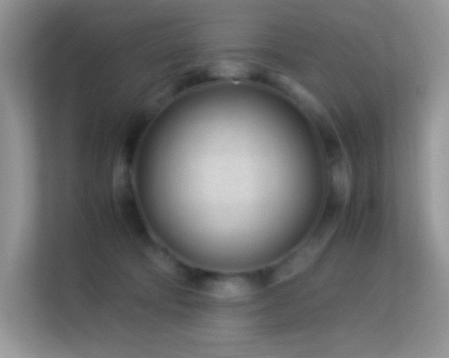 X0000113560322200909251104