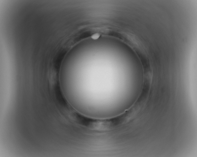 X0000113560323200909251104