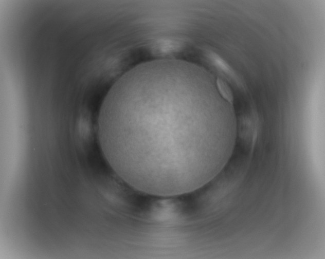X0000113560324200909251104