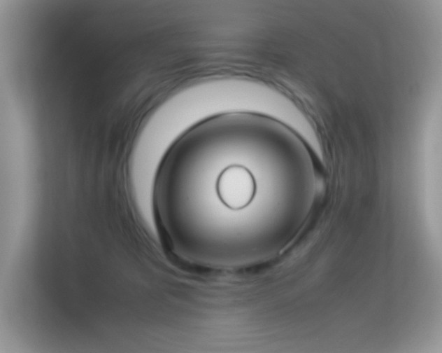 X0000113560325200909251104