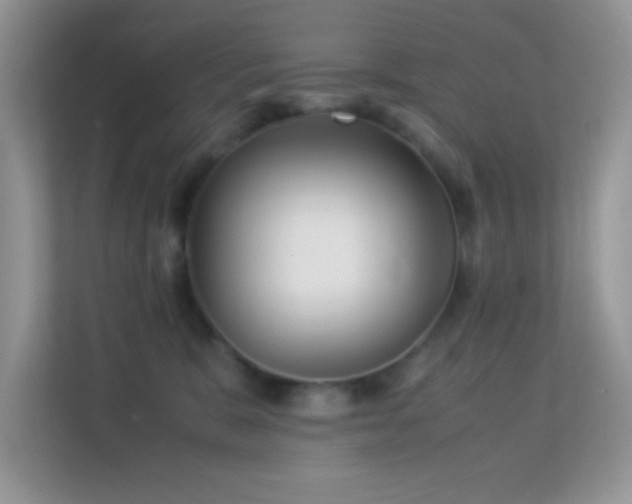 X0000113560327200909251104