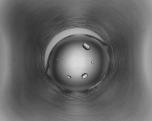 X0000113560328200909251103
