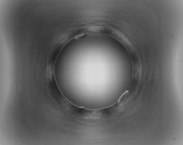 X0000113560329200909251103