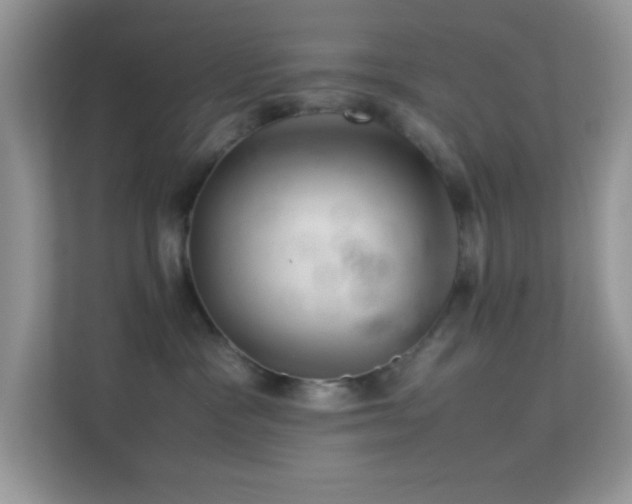 X0000113560333200909251103