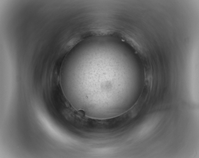 X0000113560334200909251103